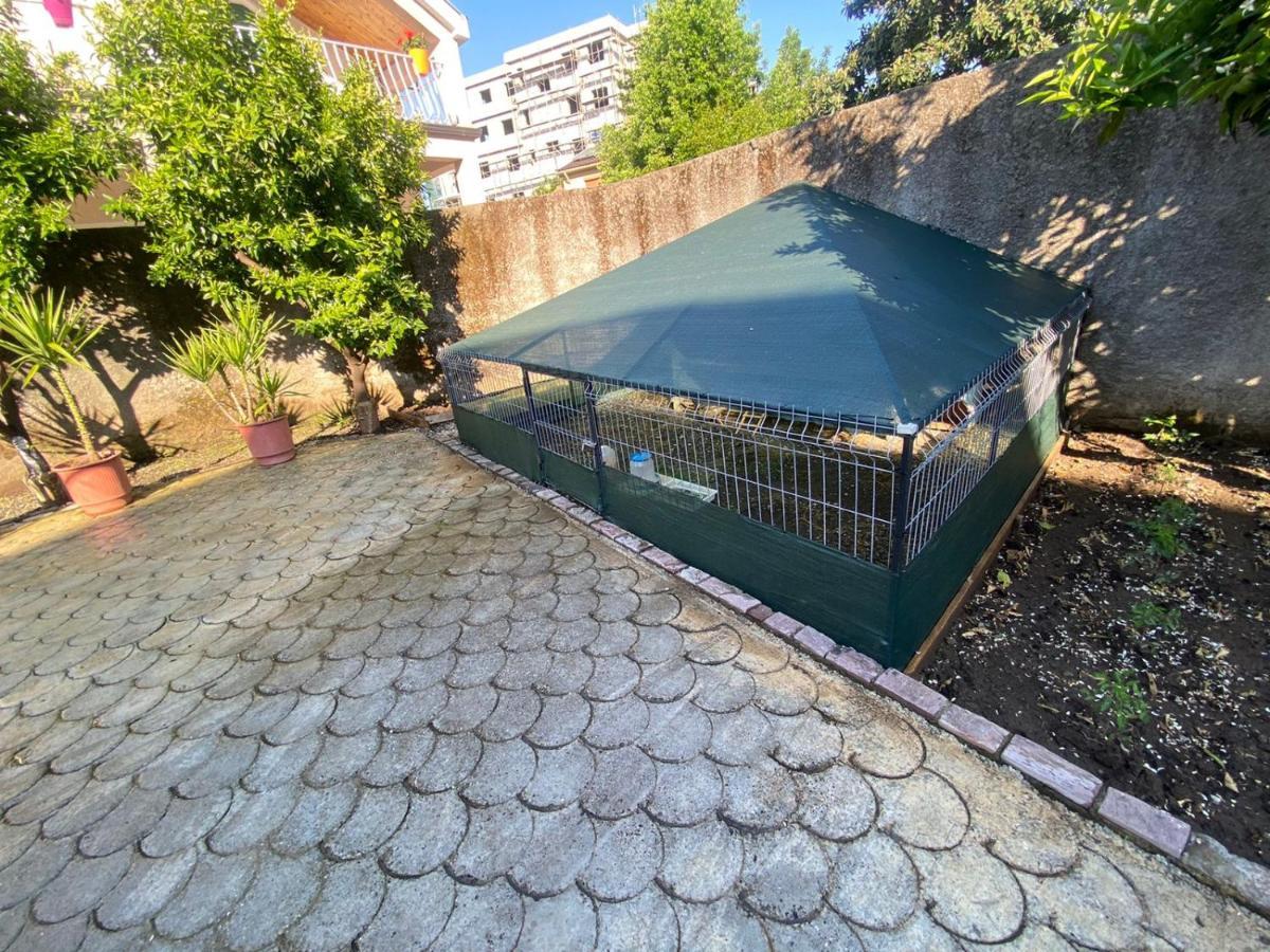 Gather Inn Guest House Σκόδρα Εξωτερικό φωτογραφία