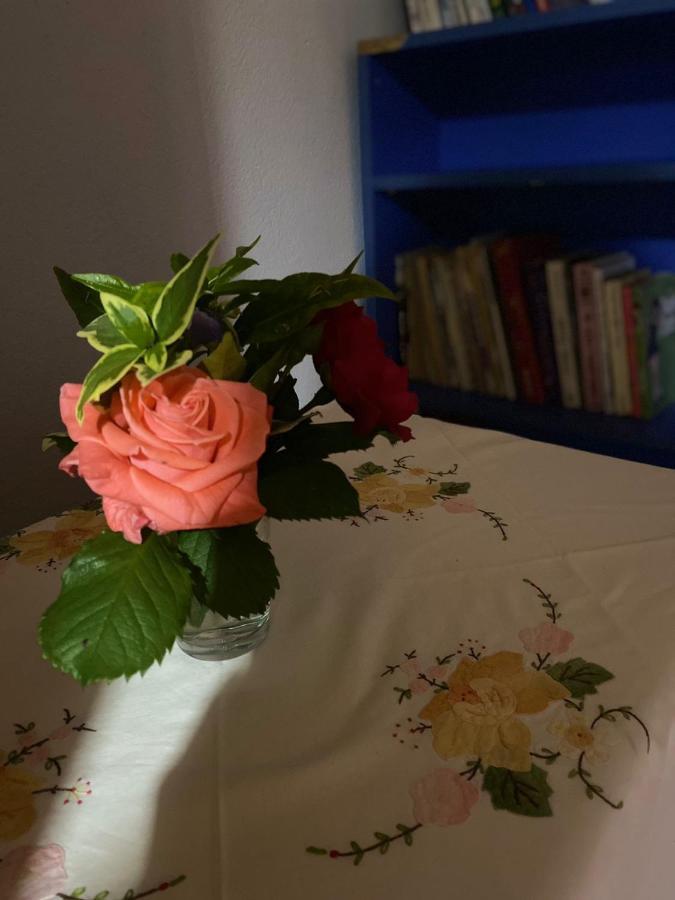 Gather Inn Guest House Σκόδρα Εξωτερικό φωτογραφία